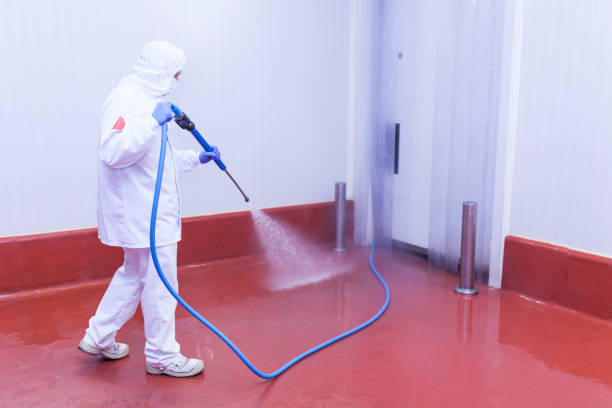 Best Boat and Dock Cleaning  in Miles, TX