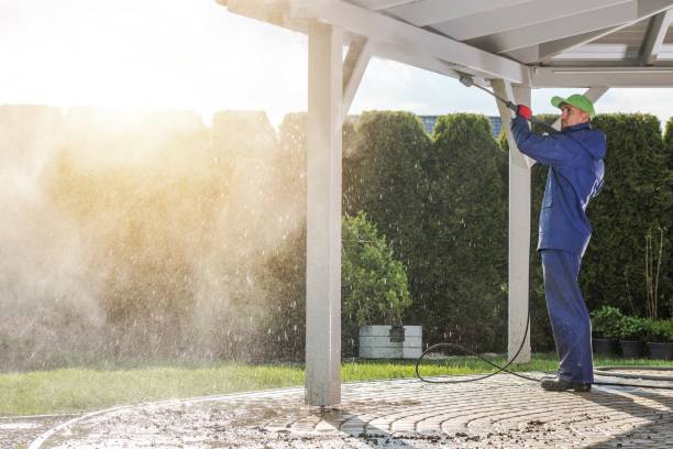 Best Graffiti Removal  in Miles, TX