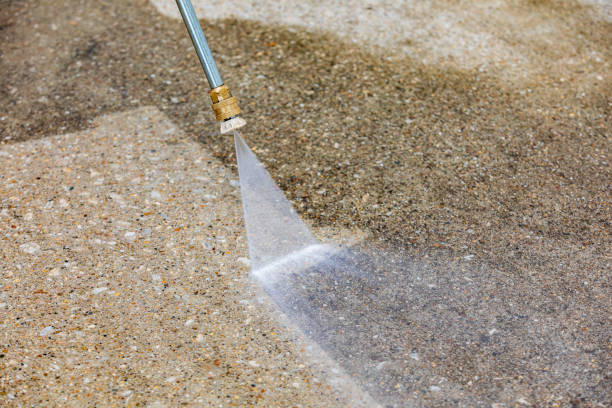 Best Animal Enclosure Cleaning  in Miles, TX